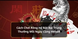 cách chơi rồng hổ