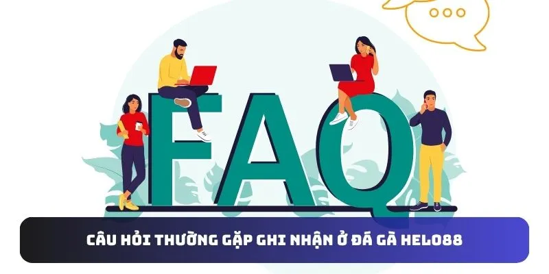 Câu hỏi thường gặp ghi nhận ở đá gà Helo88